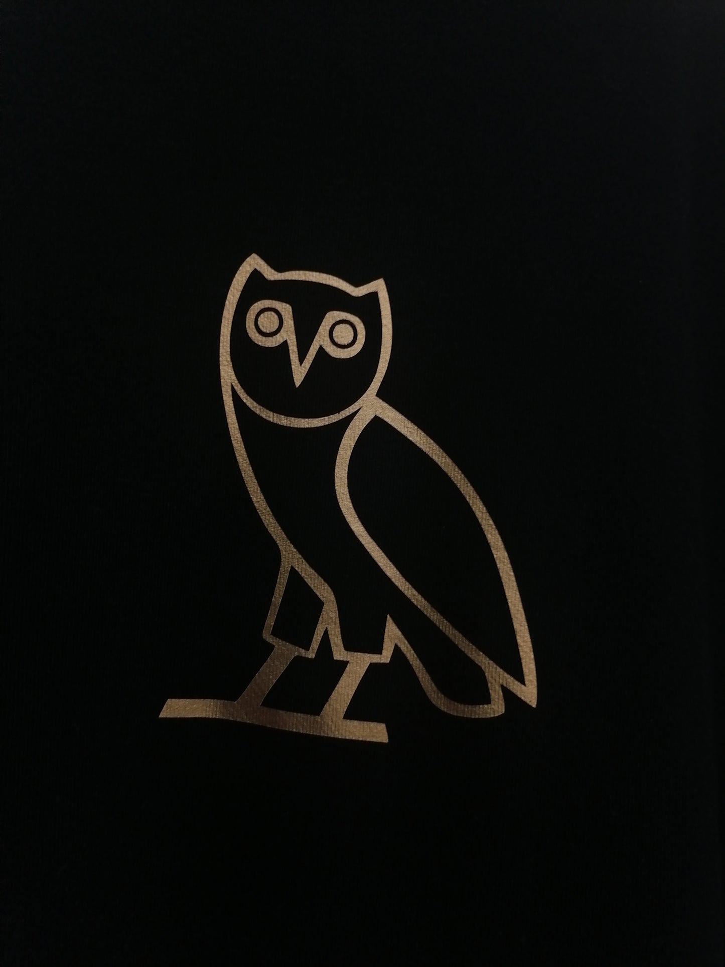 Drake owl